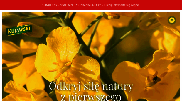 kujawski.pl