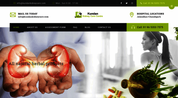 kundankidneycare.com