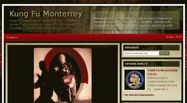 kungfumonterrey.com