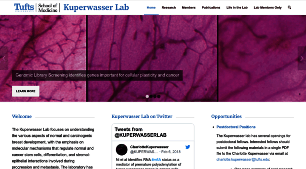 kuperwasser-lab.org