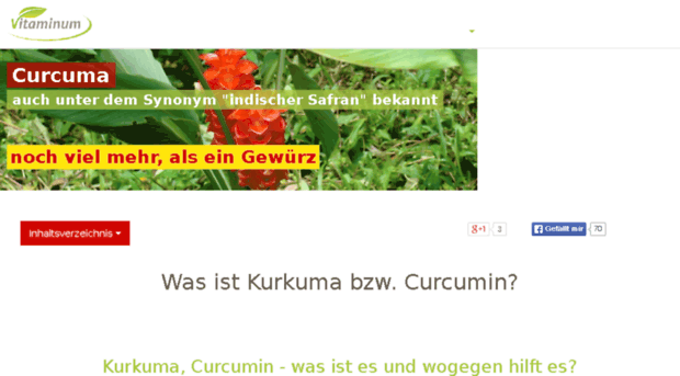 kurkuma-curcumin.com