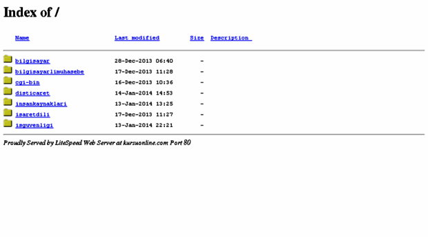 kursuonline.com
