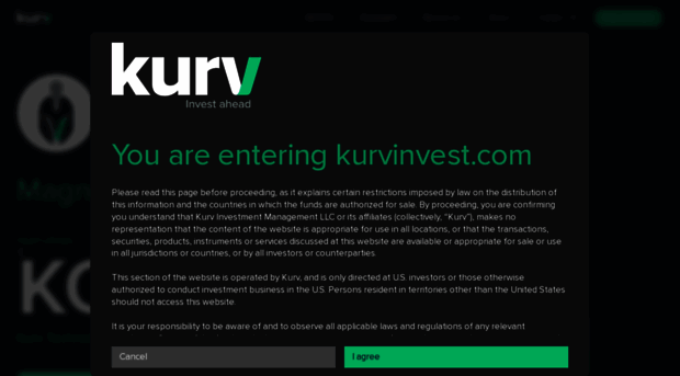 kurvinvest.com