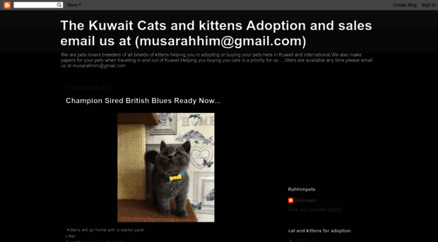 kuwaitcatsandkittens.blogspot.com