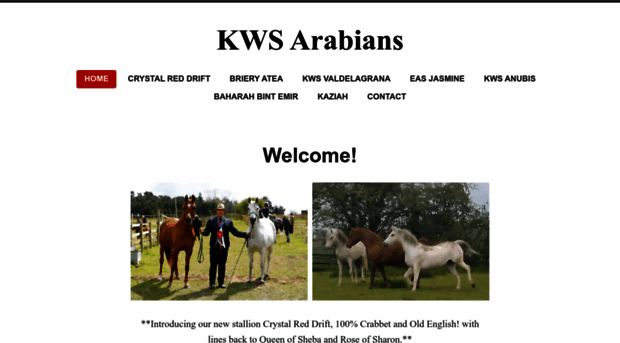 kwsarabians.com