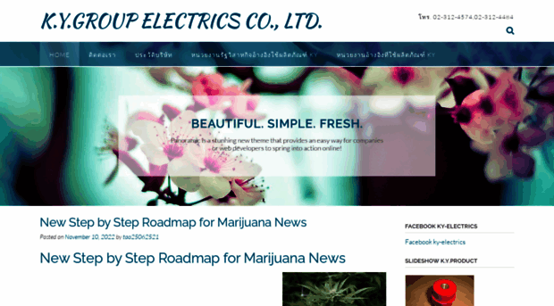 ky-electrics.com