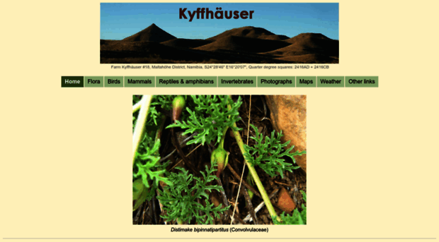 kyffhauser.com