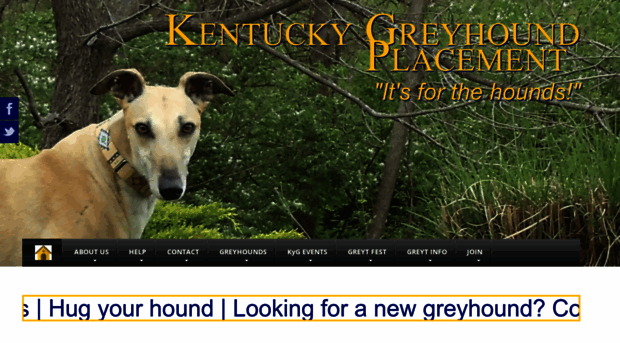 kygreyhounds.org