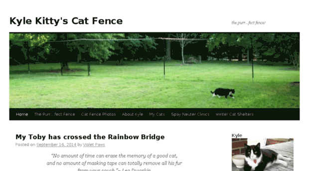 kylekittycatfence.com