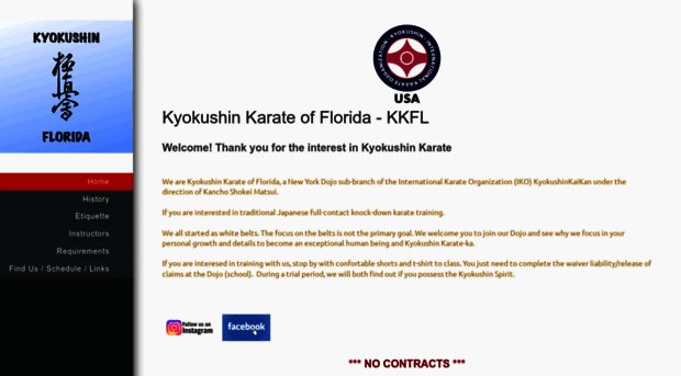 kyokushinkaratefl.com