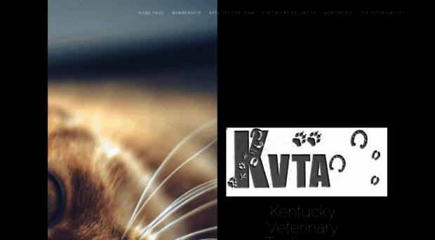 kyvta.org