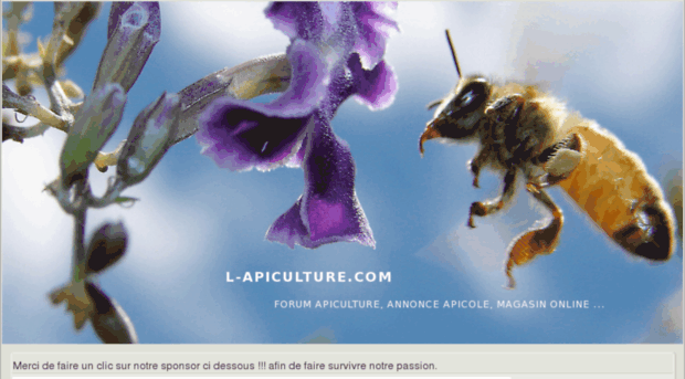 l-apiculture.com