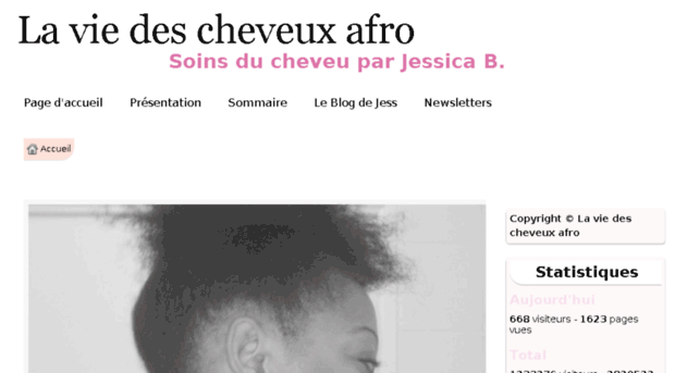 la-vie-des-cheveux-afro.e-monsite.com