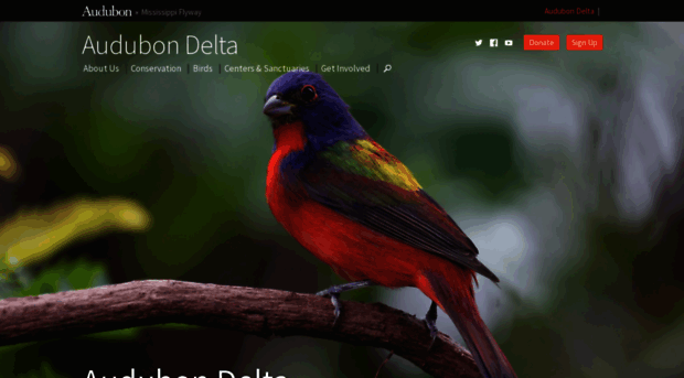 la.audubon.org