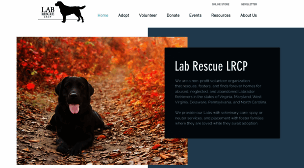 lab-rescue.org