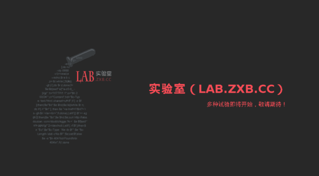 lab.zxb.cc