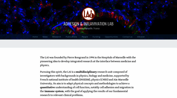 labadhesioninflammation.org