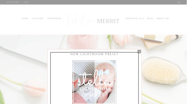 labelmemerrit.com