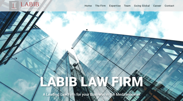 labib-law.com