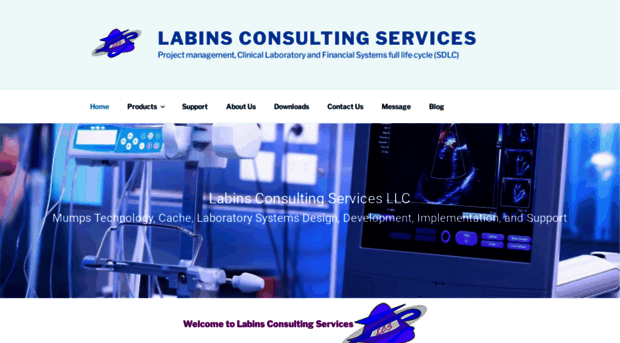 labins.com