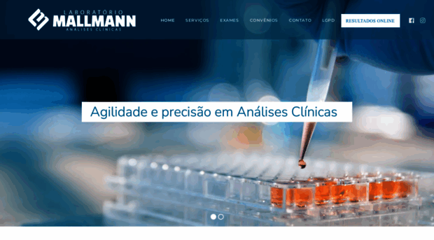 labmallmann.com.br