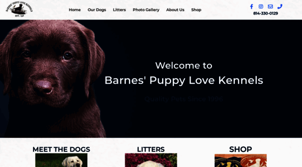 labpuppies.com