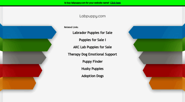 labpuppy.com