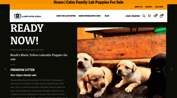 labpups.com