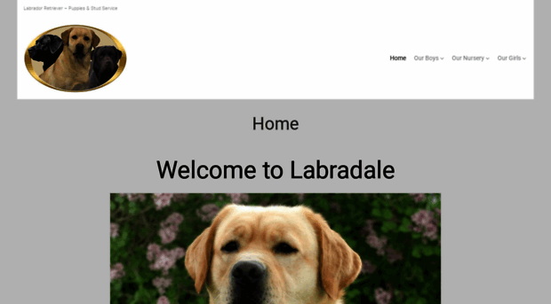 labradale.com