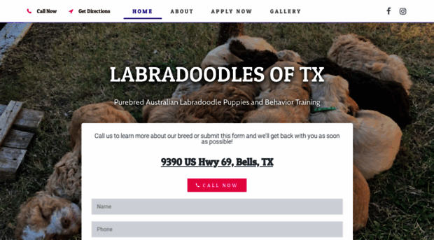 labradoodlesoftx.com