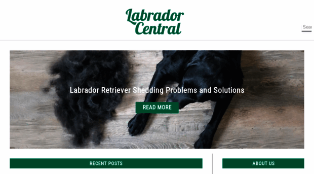 labrador-central.com