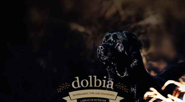 labrador-dolbia.pl