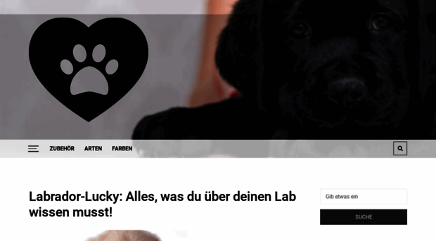 labrador-lucky.de