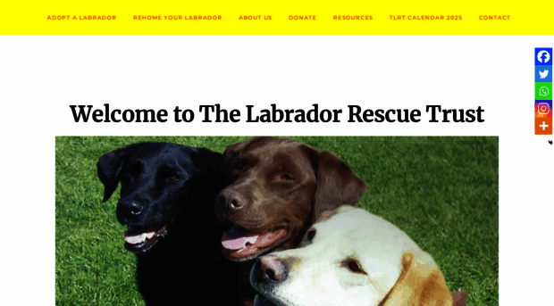 labrador-rescue.com