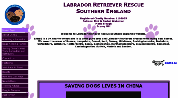 labrador-rescue.org.uk