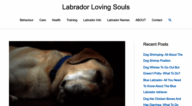 labradorlovingsouls.com