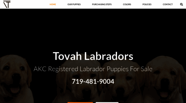 labradorpuppiesforsale.net