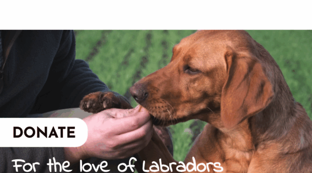 labradorsinneed.co.uk