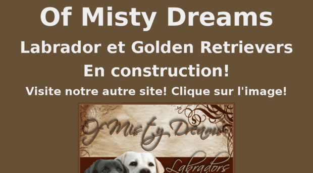 labradorsofmistydreams.com