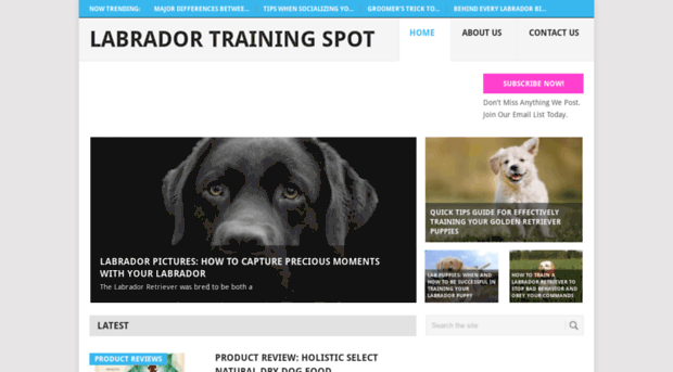 labradortrainingspot.com