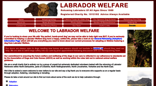 labradorwelfare.org