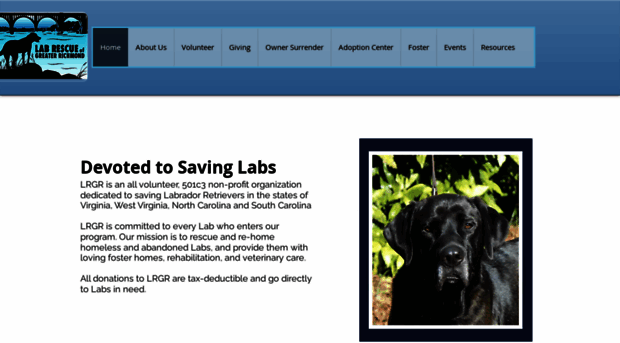labrescue-richmond.com