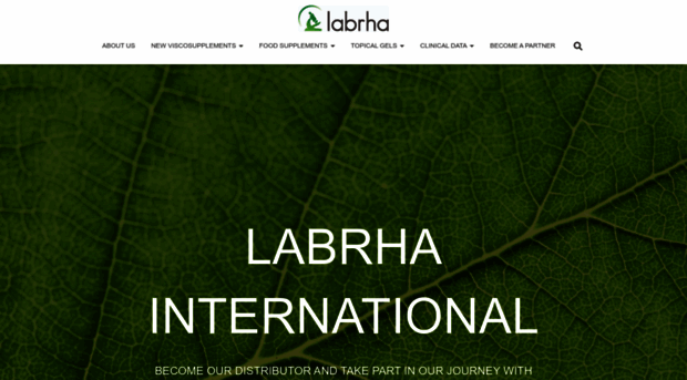 labrha-international.com