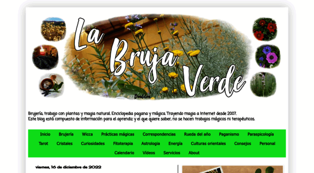 labrujaverde.blogspot.com.es