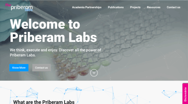 labs.priberam.com