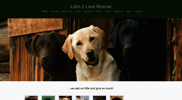 labs2loverescue.org