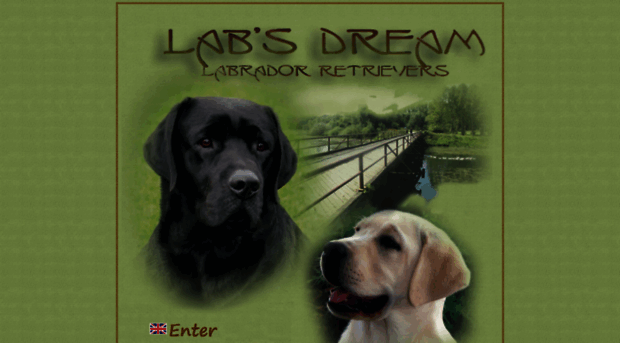 labsdream.com