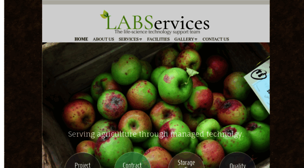 labservices.com