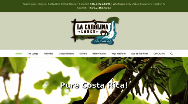 lacarolinalodge.com