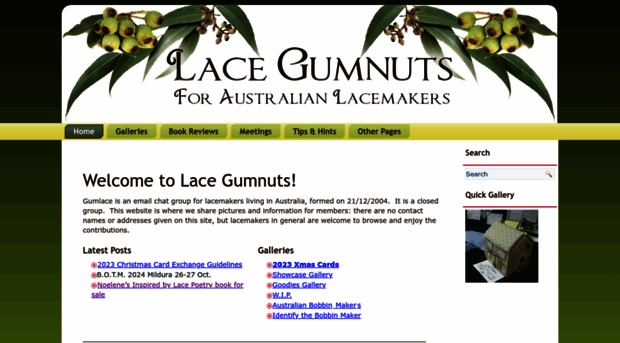 lacegumnuts.com